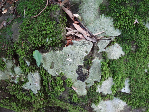 b0125384_21415453.jpg