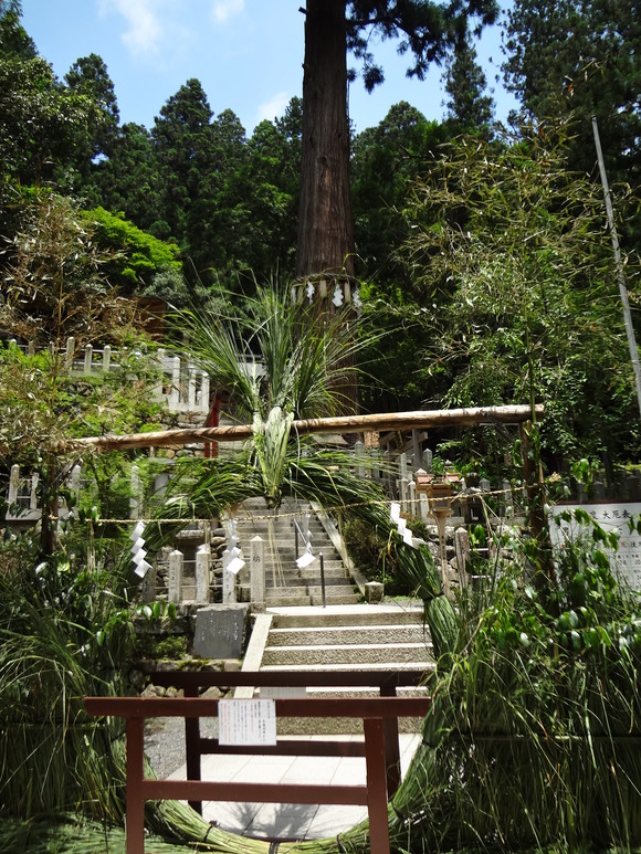 b0125384_21422744.jpg