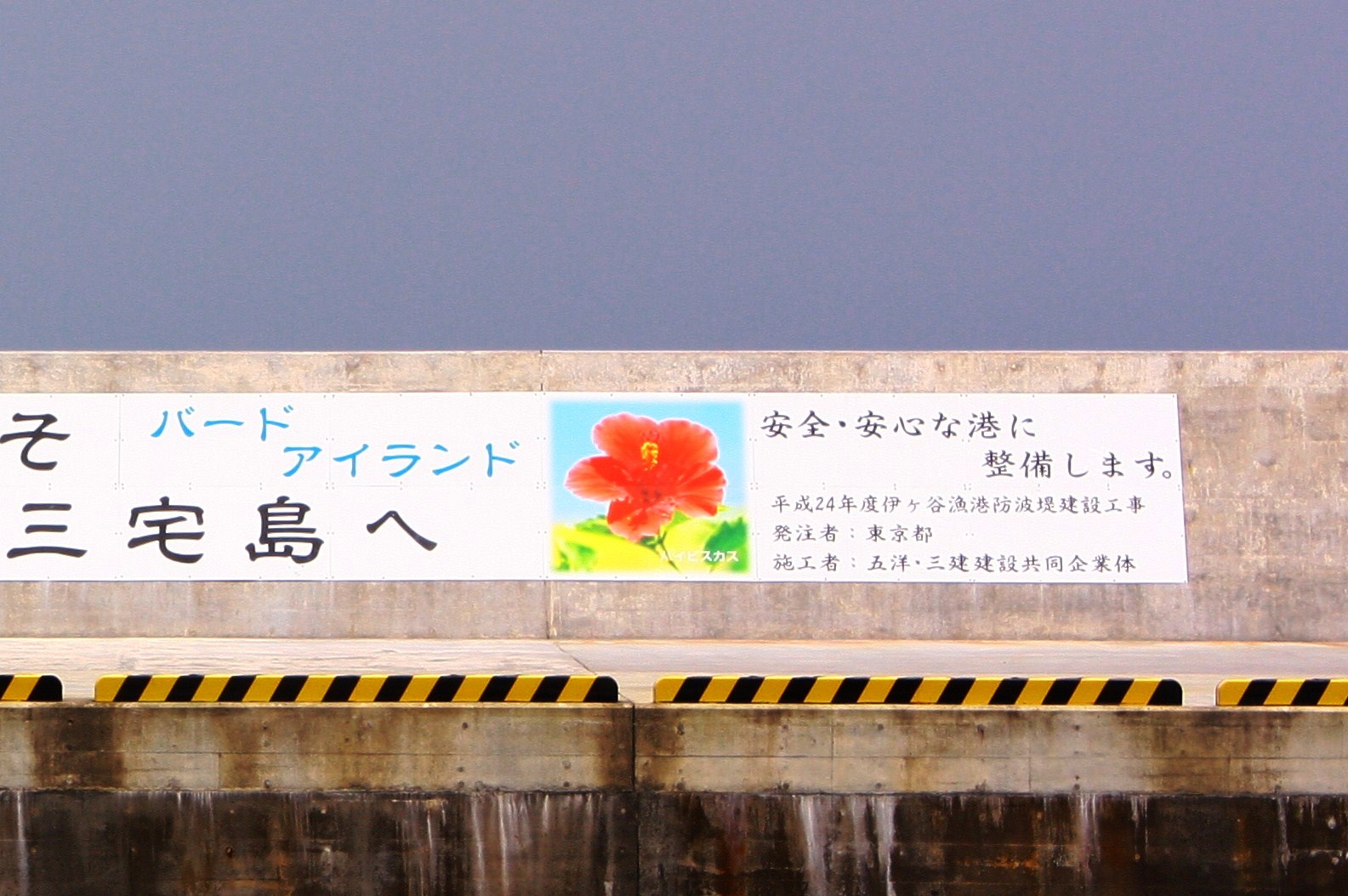 伊ヶ谷の海~_c0204385_13152273.jpg