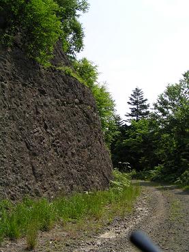 f0078286_885412.jpg