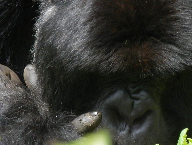 a0055891_931136.jpg
