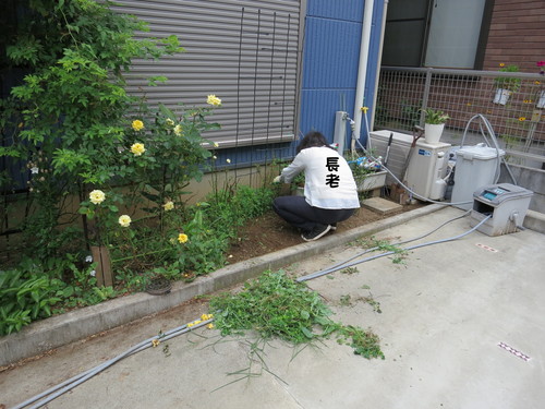 年寄りの冷や水 _b0200291_212783.jpg