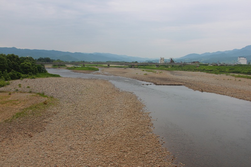 赤川の魚を殺すにゃ刃物は要らぬ_b0207491_10512124.jpg