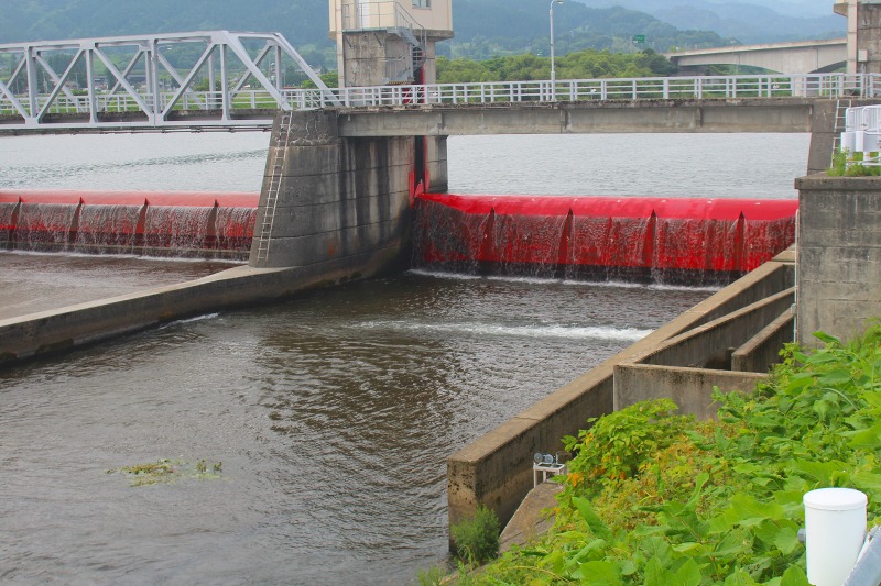 赤川の魚を殺すにゃ刃物は要らぬ_b0207491_1083176.jpg