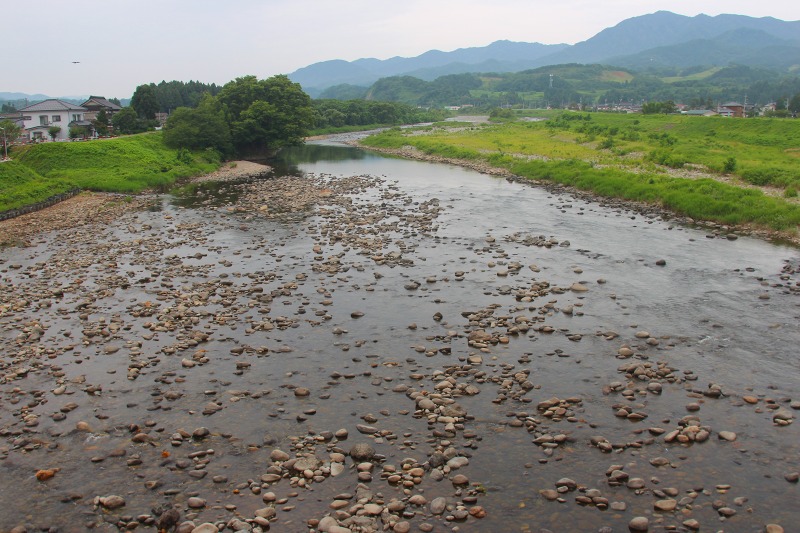 赤川の魚を殺すにゃ刃物は要らぬ_b0207491_109236.jpg