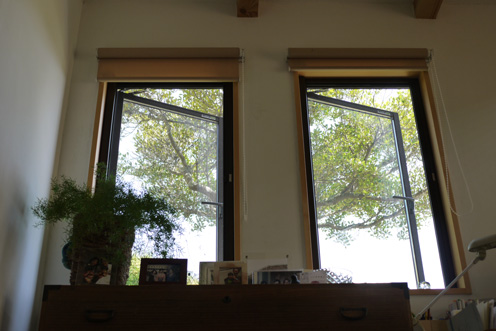 f0222692_1602747.jpg