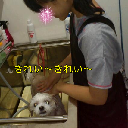b0237894_19375585.png