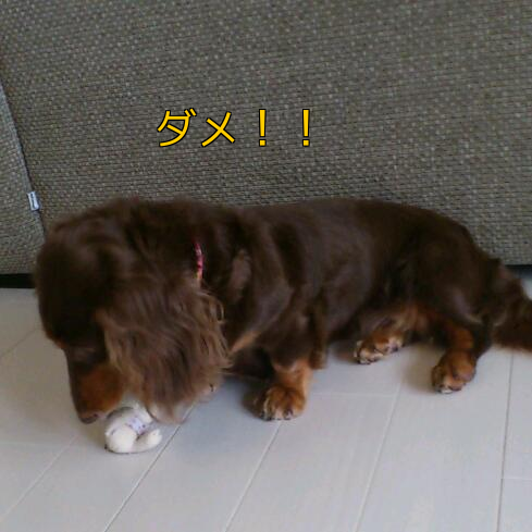 b0237894_19443532.png