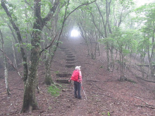 オオキツネノカミソリ咲く恐淵（おそろしぶち）～一ノ岳から求菩提山を周回　2012・7・22（日）_a0166196_20524813.jpg