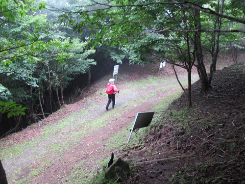 オオキツネノカミソリ咲く恐淵（おそろしぶち）～一ノ岳から求菩提山を周回　2012・7・22（日）_a0166196_20535240.jpg