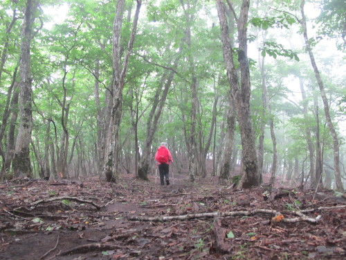 オオキツネノカミソリ咲く恐淵（おそろしぶち）～一ノ岳から求菩提山を周回　2012・7・22（日）_a0166196_21155856.jpg