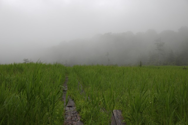 c0213096_15394461.jpg