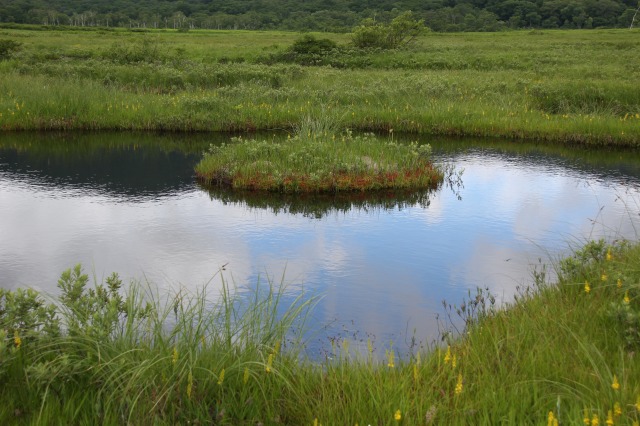 c0213096_16294159.jpg