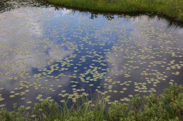 c0213096_16305817.jpg
