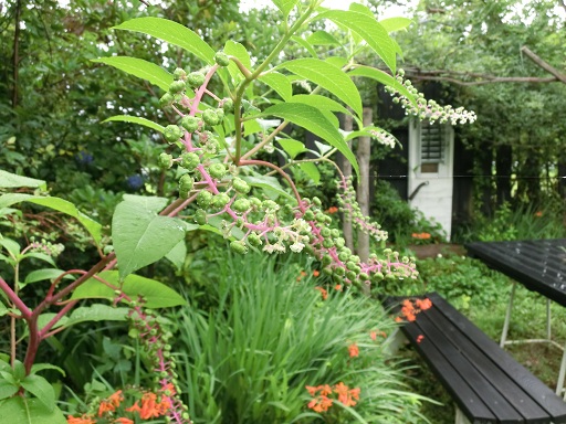c0156104_22472371.jpg