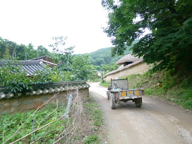 a0140305_3563896.jpg