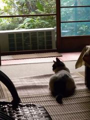 天上の青_d0140705_14475529.jpg