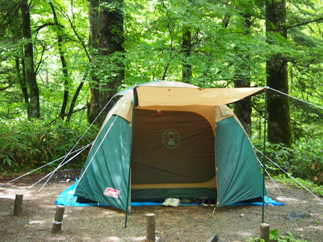 c0185207_1604149.jpg
