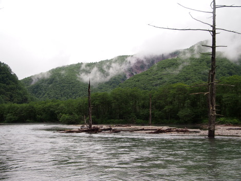 c0185207_16281863.jpg