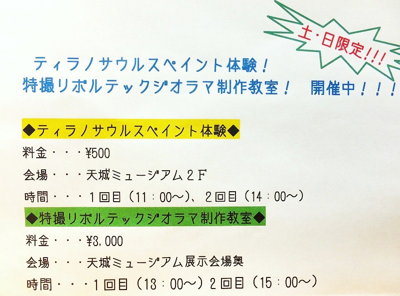 天城ミュージアム　土曜、日曜限定のワークショップ_f0182513_2011239.jpg