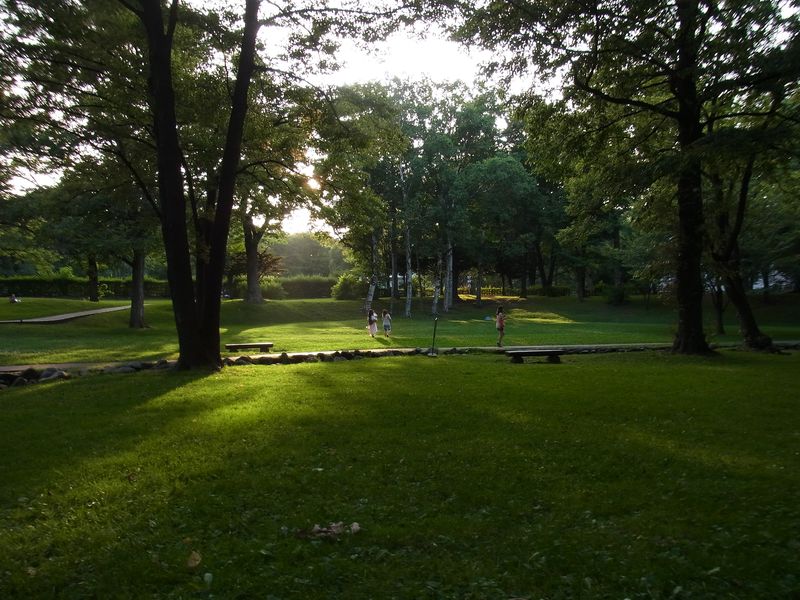 夕刻の中央ローン_c0025115_1941172.jpg