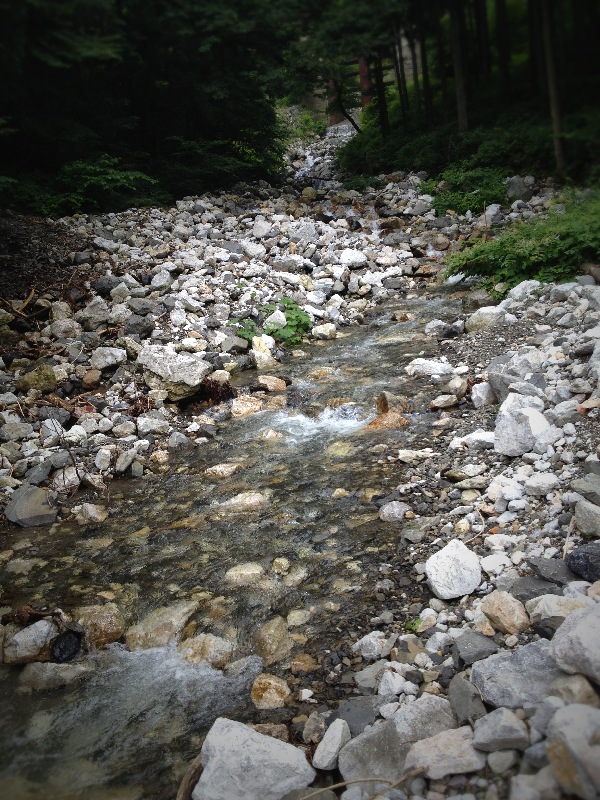 岐阜へ <後編>_b0220318_11521562.jpg