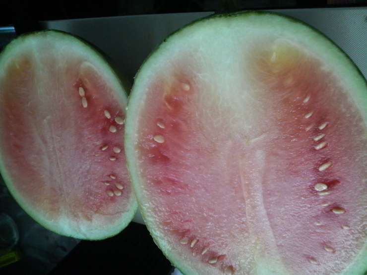 b0182422_17425643.jpg