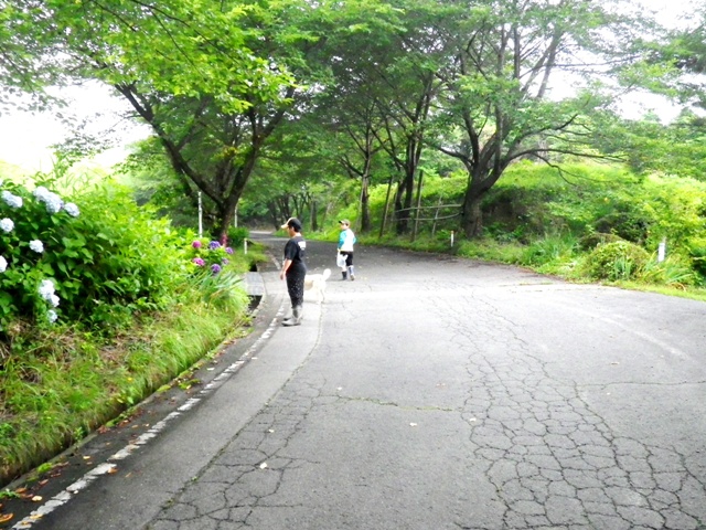 d0269923_1533187.jpg