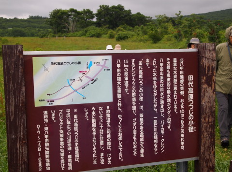 b0147224_1324820.jpg