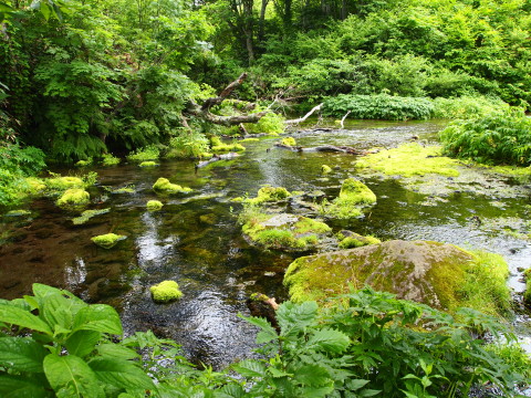 b0147224_1326161.jpg