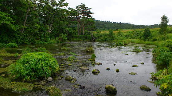 b0147224_1330267.jpg