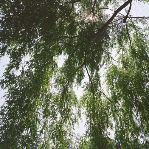f0182924_22513677.jpg