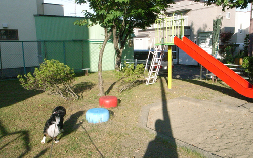 c0051132_2138059.jpg