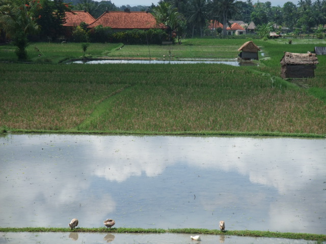 d0240534_1733299.jpg