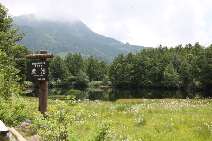 草津白根山・志賀高原・小布施・須坂の旅 Ⅲ_c0115938_20413655.jpg