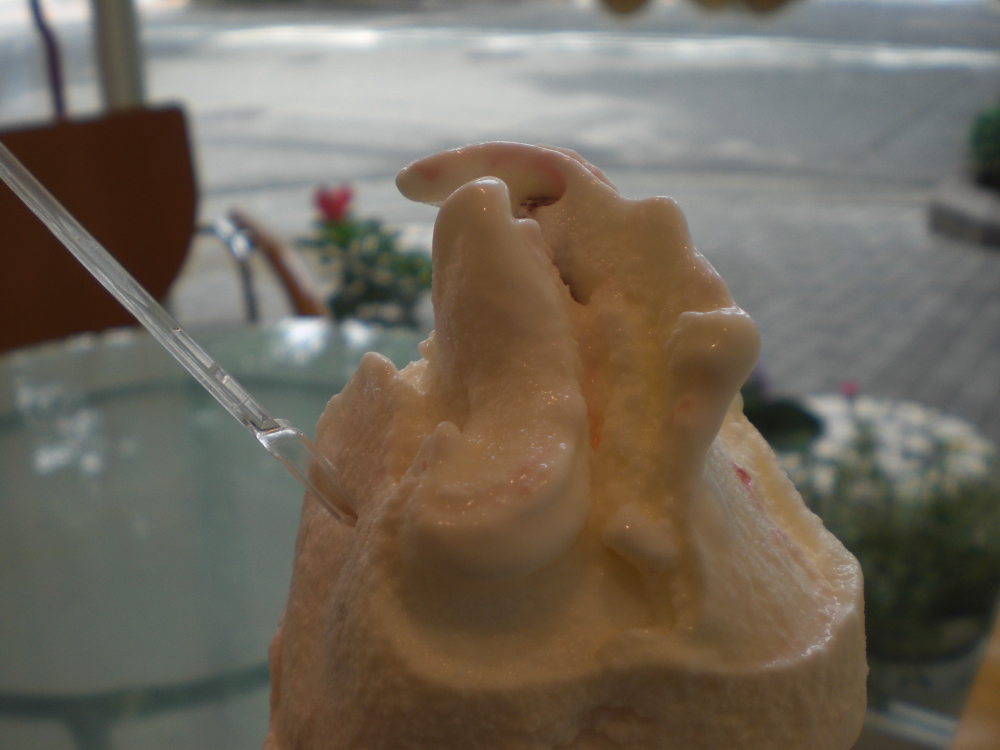 Italian Gelate Ciao イタリアン ジェラート チャオ 大阪府堺市堺区 自信 雷 家事 オヤツ