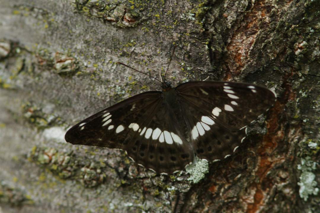 c0172139_18442045.jpg