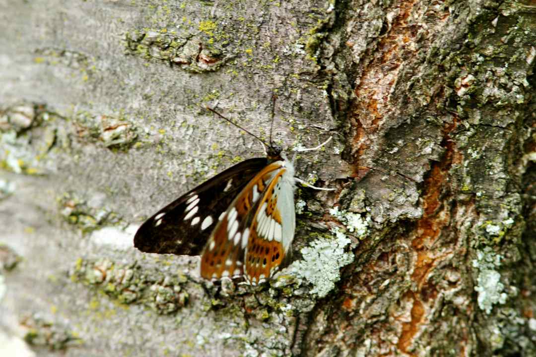 c0172139_18444224.jpg