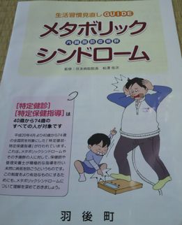 メタボリックシンドローム_f0081443_1322318.jpg