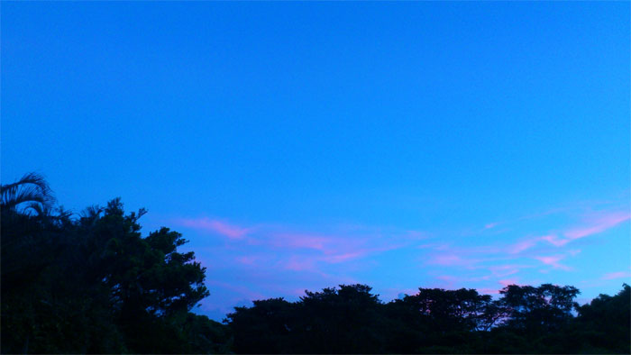 f0229844_11262120.jpg