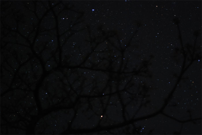 f0229844_11425316.jpg
