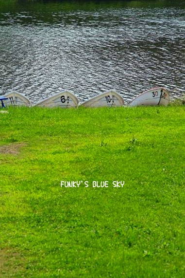 c0145250_1110922.jpg