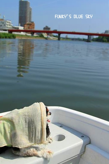 c0145250_1164730.jpg