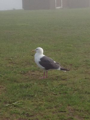 日本一周 25日目_d0260955_2111328.jpg