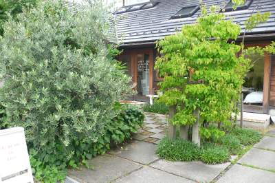 e0001860_2141484.jpg
