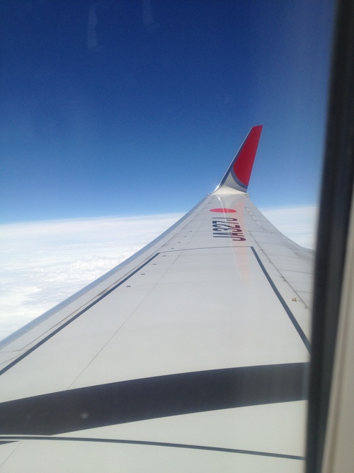 f0173161_950567.jpg