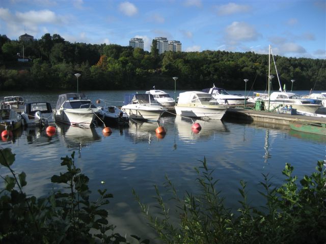 a0123465_0553938.jpg