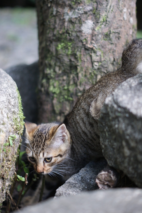 練習ちたでちよ。。。_c0183167_2145512.jpg