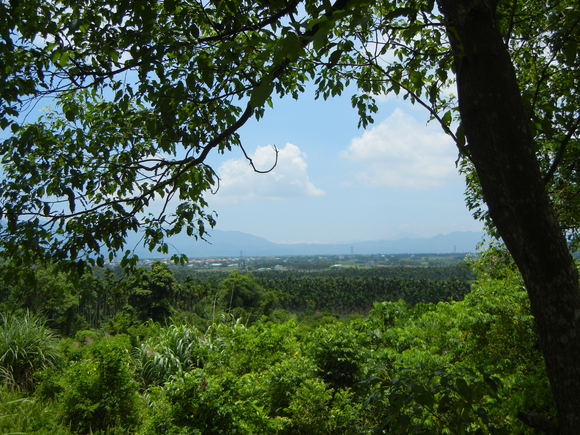d0057071_8545646.jpg