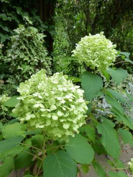 c0040472_18325840.jpg